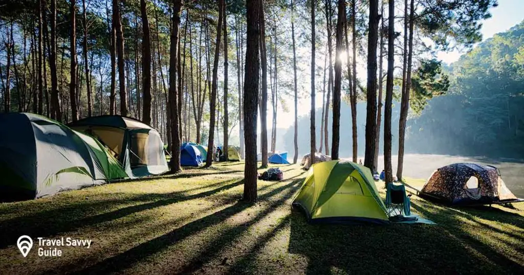 tents in the forest