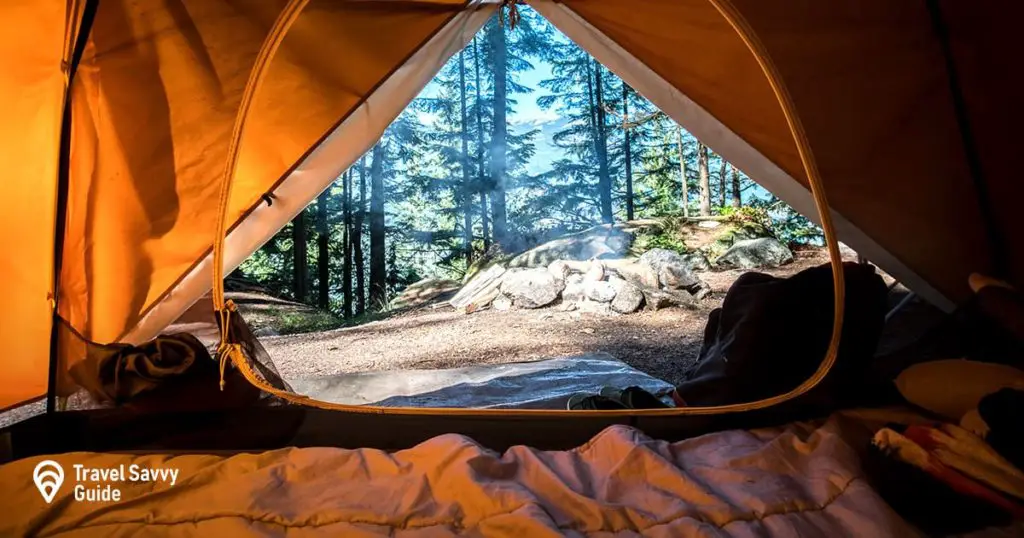 tent inside view of a forest