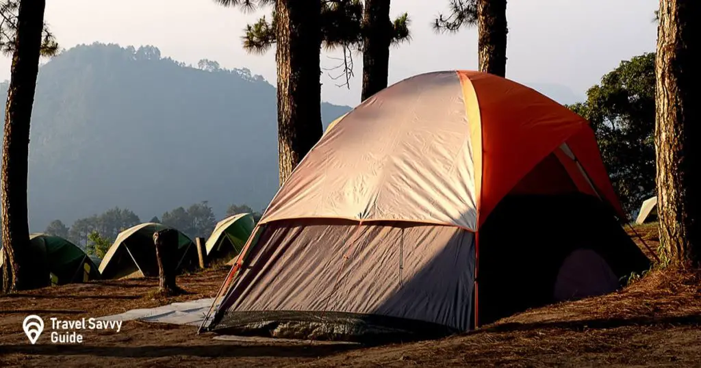 Tent in a forest at sunset