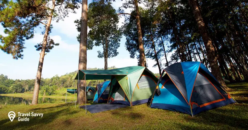 tents are out in nature surrounded by trees