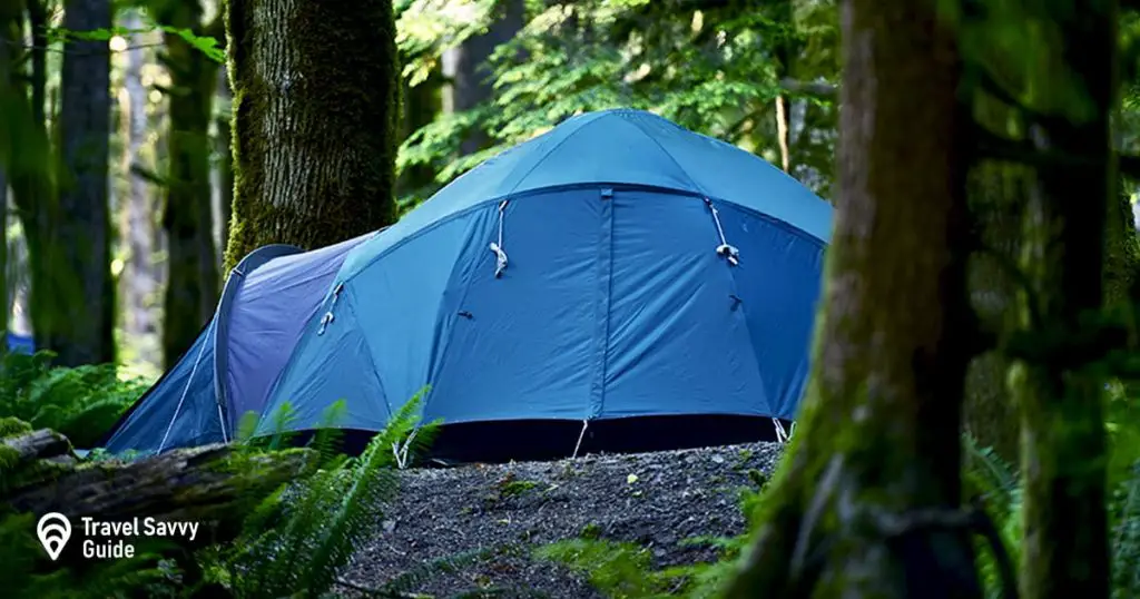 Tent camping in forest