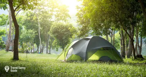 Camping and tent under the pine forest