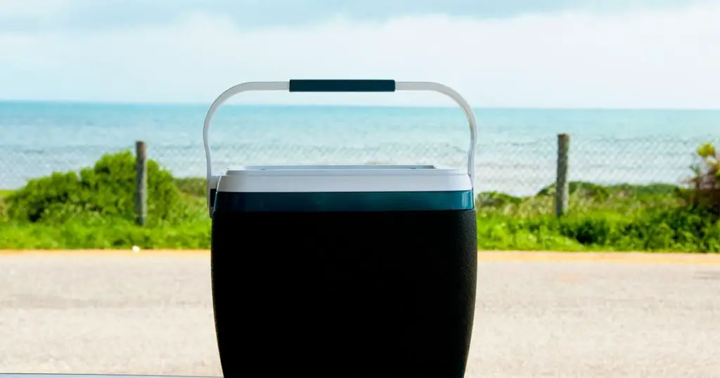 Beach Picnic Cooler