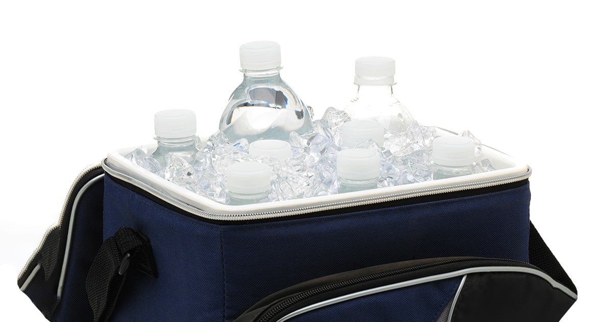 Best Golf Bag Cooler Coolers to Last All Day (2021) Travel Savvy Guide