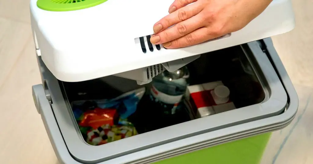 Woman opens cover of green portable refrigerator with drinks food