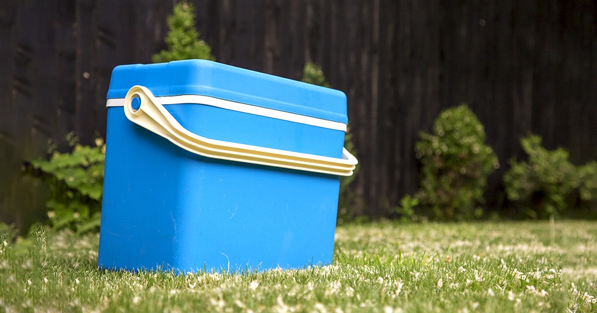 Best Rotomolded Cooler 5 of the Toughest Coolers in 2021