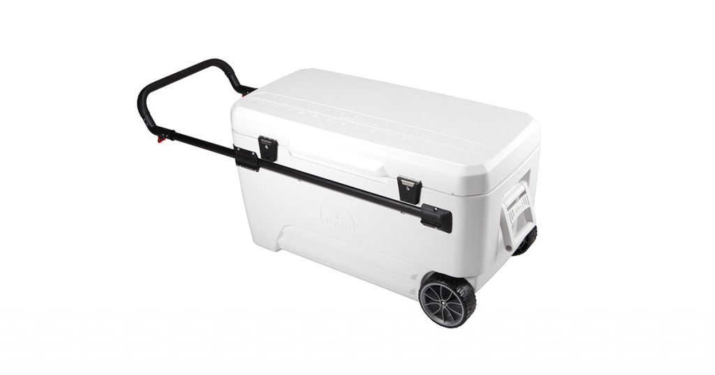 Igloo Quantum hard cooler with wheels