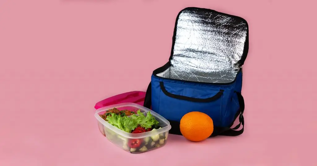 Thermal bag and container with salad, meat and orange.