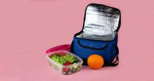 Thermal bag and container with salad, meat and orange.