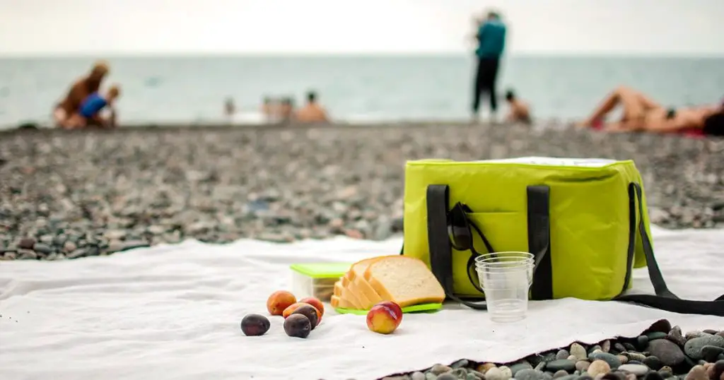 A picnic bag and food on the coverlet