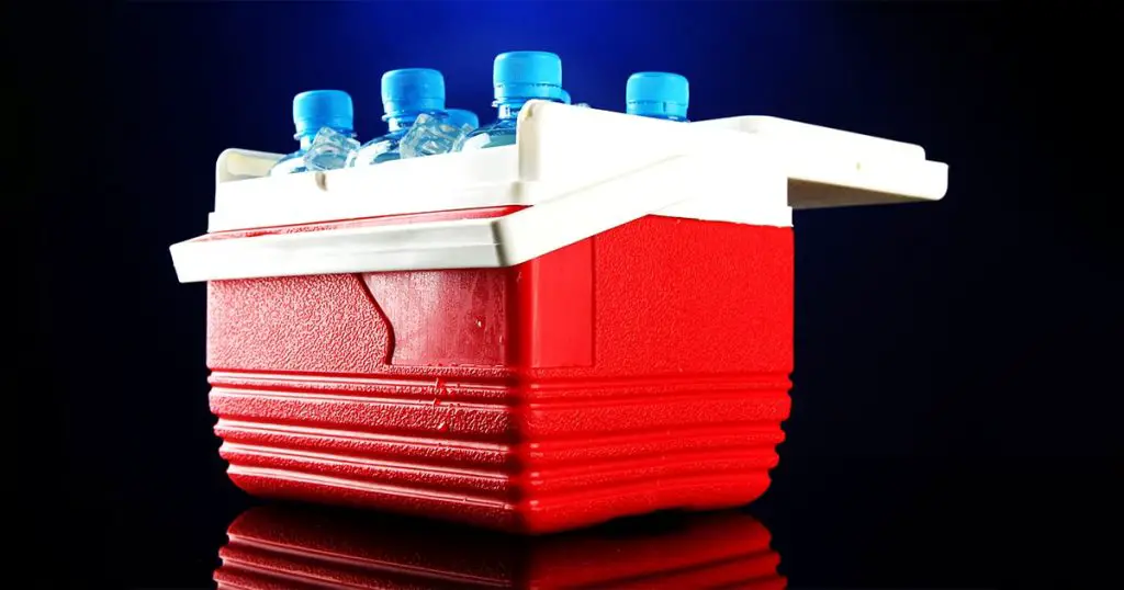 Traveling cooler with bottles of water and ice cubes