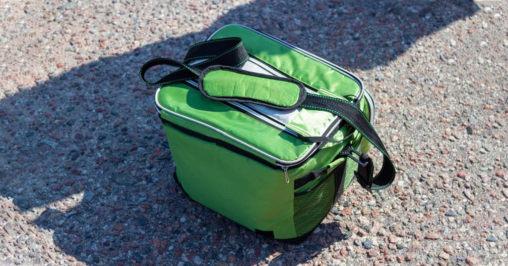 Best SoftSided Cooler Our Top 5 for 2021 Travel Savvy Guide