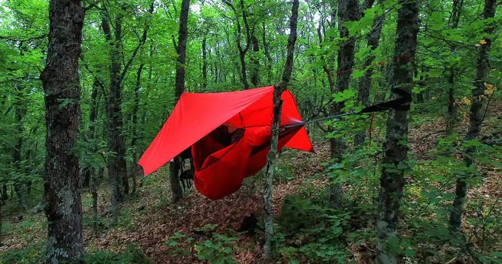 trees and red hammock with tent in summer forest