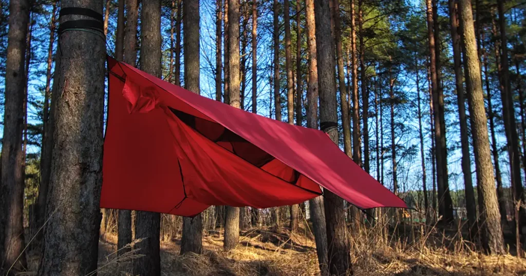 Pine trees and red hammock with tent in spring wood