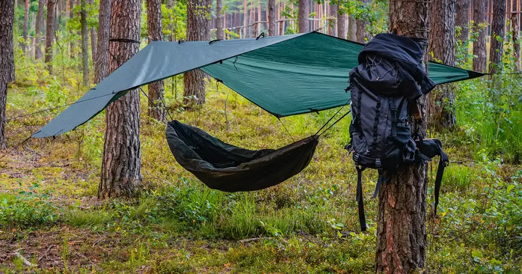 Tree hammock tent hanging out in the wild forest on a summer day