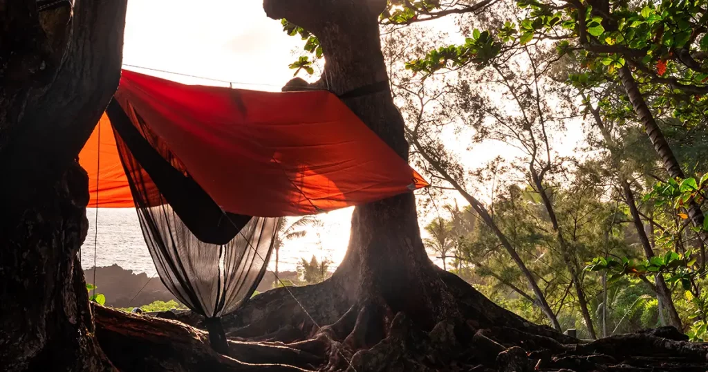 Hammock with a bug net and a rain tarp attached to two trees