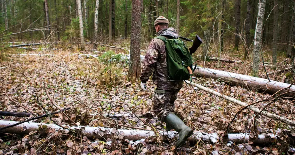 Man the hunter goes through the forest in rubber boots, with a backpack and a gun