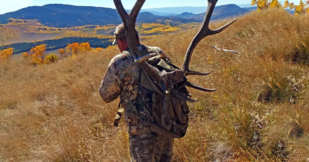 Elk Hunting Pack Out Fall