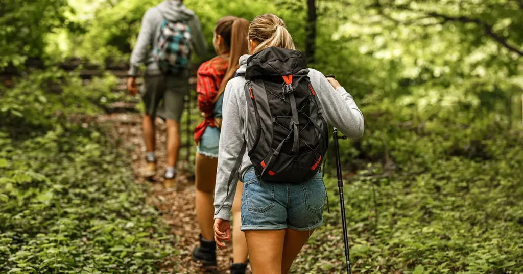 Group of friends hiking together in nature.They walking on old path.Rear view.