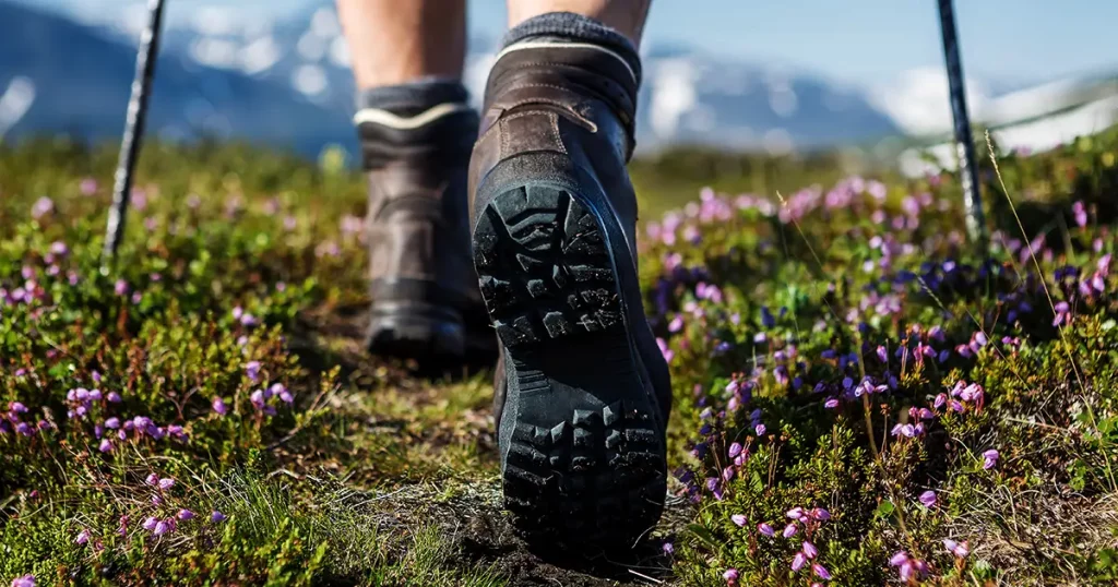 hiking-trail-flowers