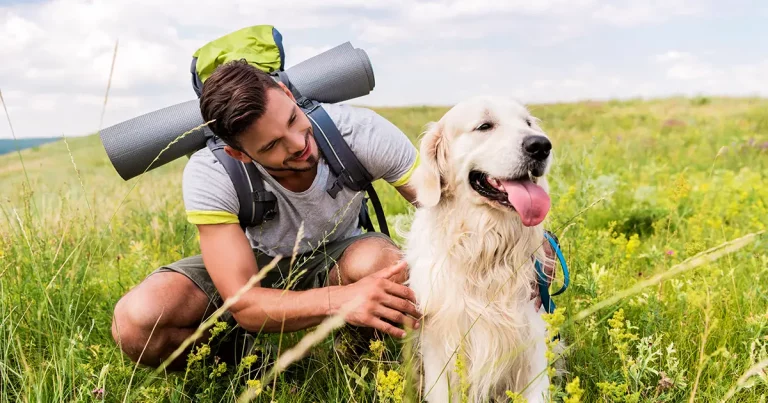 traveler with backpack and dog sitting on green meadow