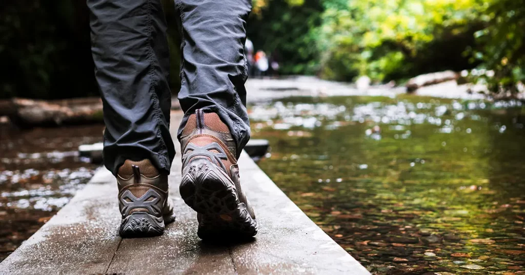 Man walking on a wooden bridge, Fern Canyon, Prairie Creek Redwoods State Park, California