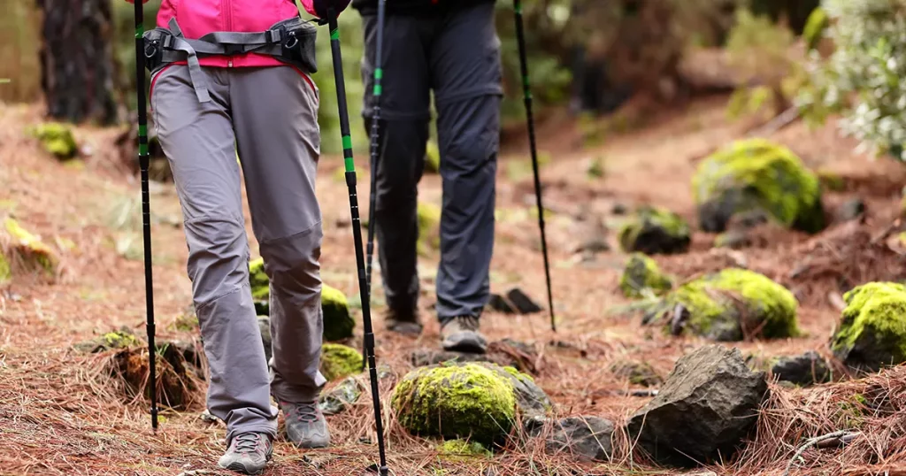 hiking-hikers-walking-forest-poles-on