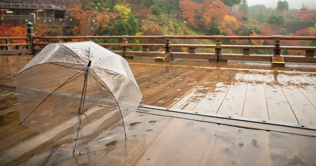 Transparent umbrella on wet wood terrace