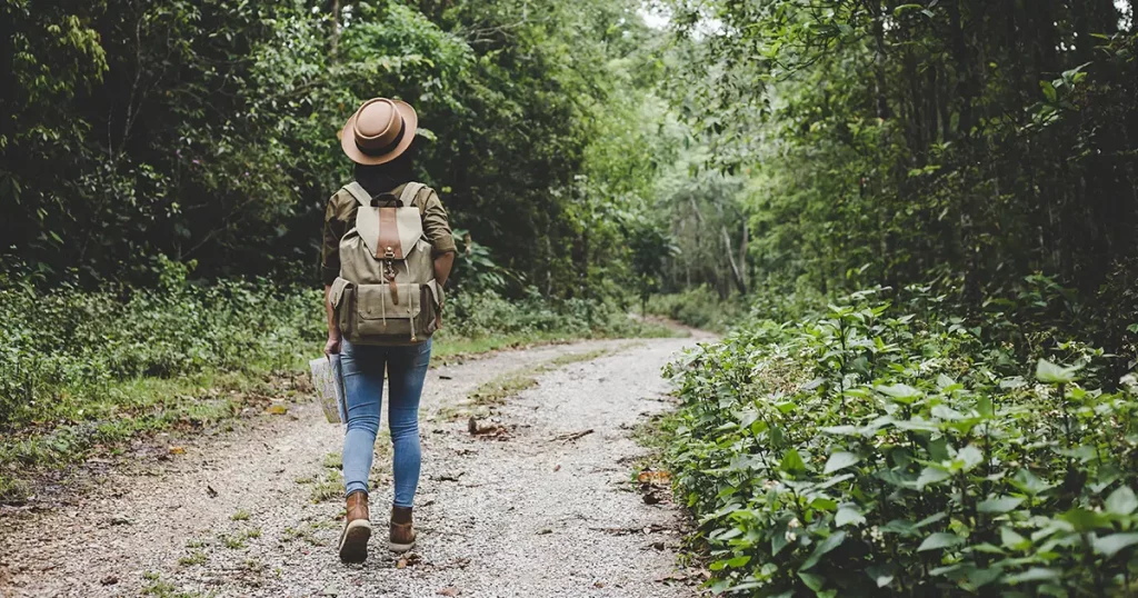 traveller women walking on road in the forest