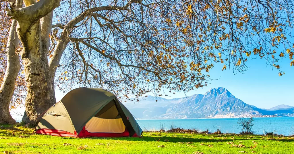 Green tent stands under the tree with blue lake and mountains in the background landscape