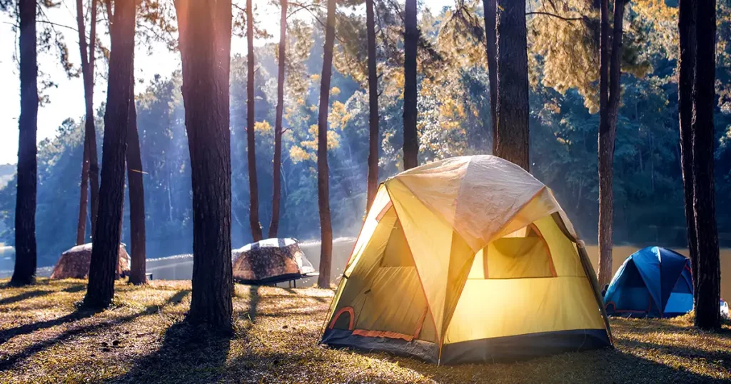 camping-tent-under-pine-forest-near