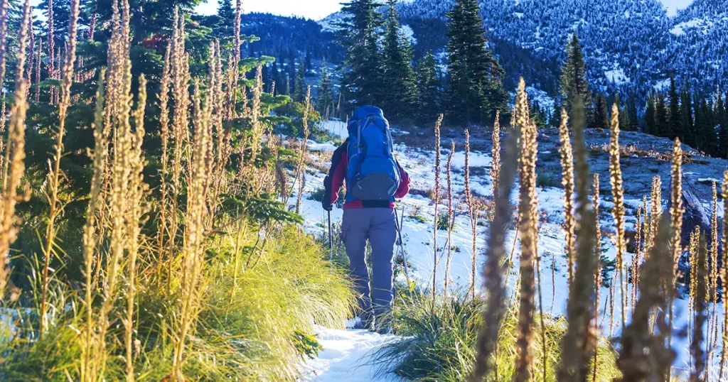 Hike in Glacier National Park, Montana