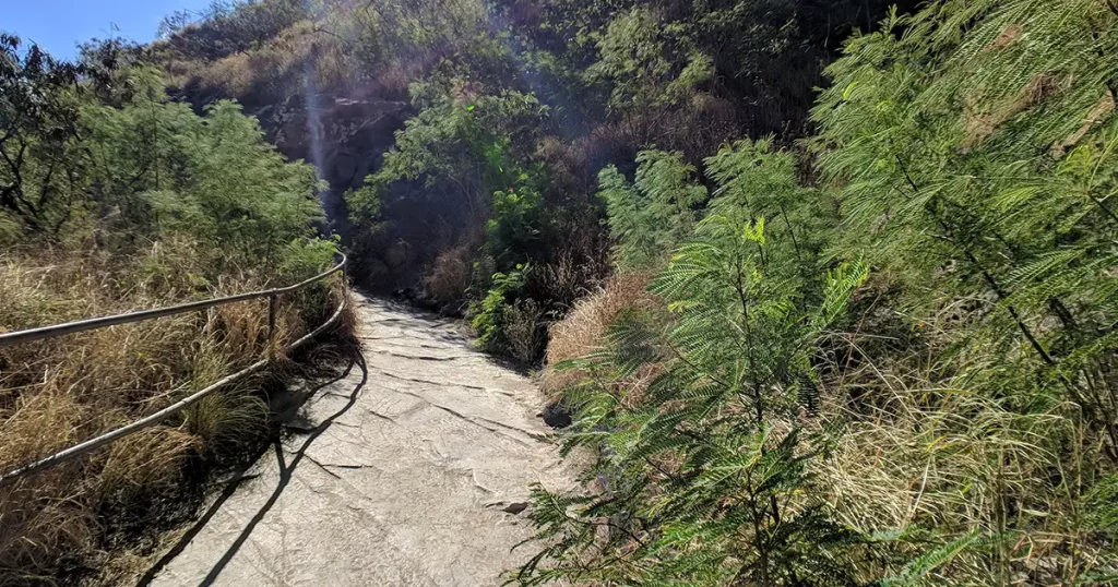 Diamond Head Crater Hike on a hot summer's day!