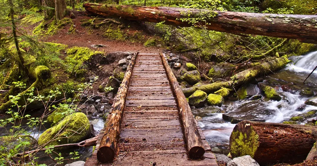 closeup-wooden-foot-bridge-on-hiking