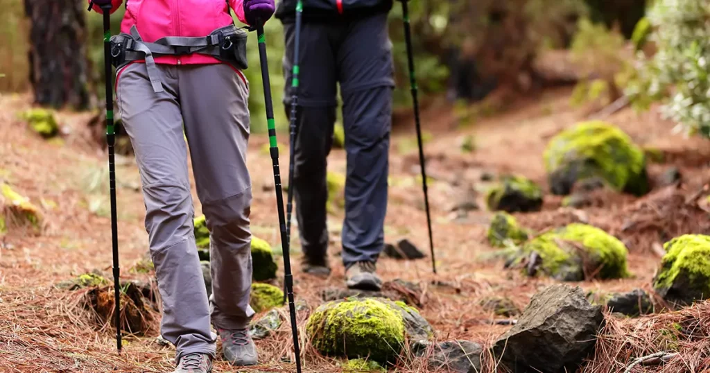 hiking-hikers-walking-forest-poles-on