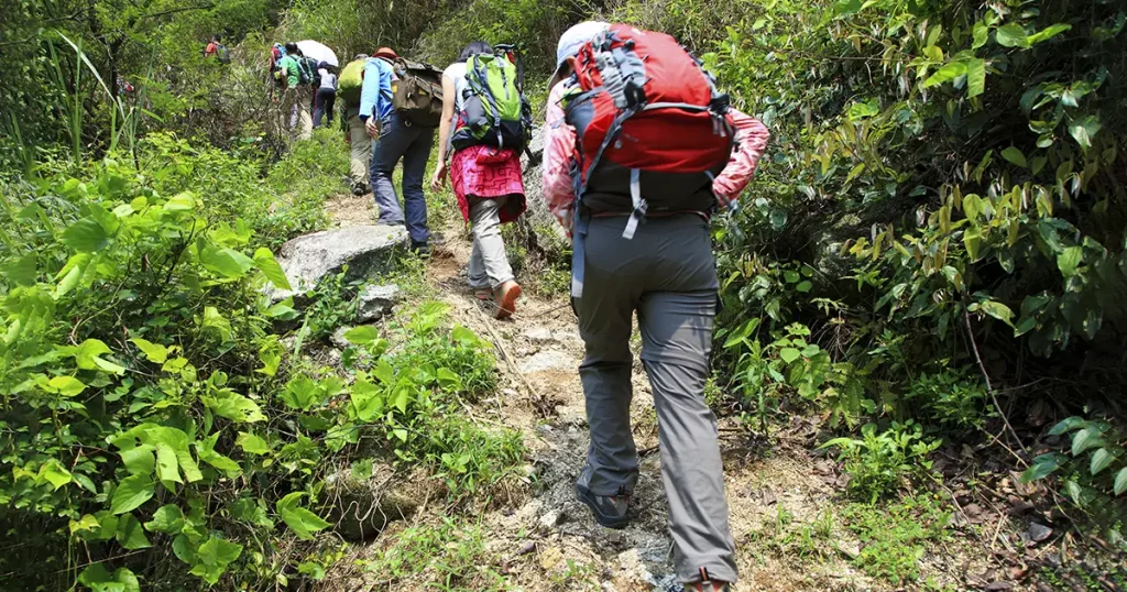 people hiking in group