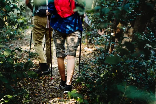 2 persons with backpacks hiking through forest